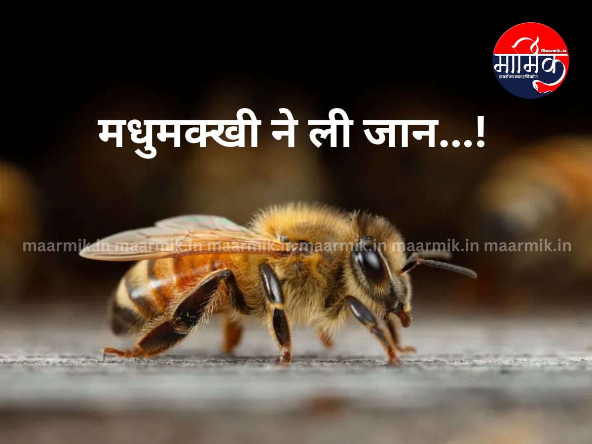 BIG NEWS: Bees took the life of a woman