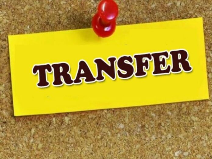 MP Transfer