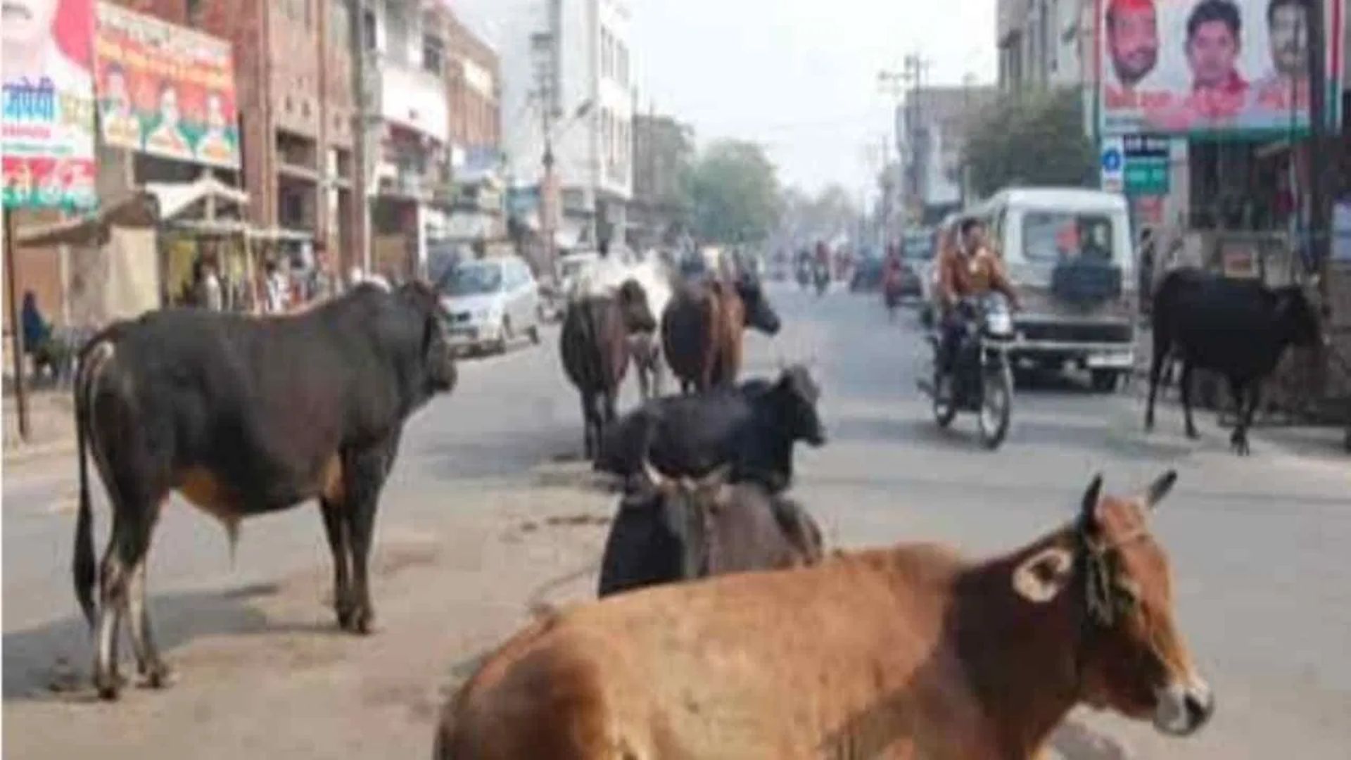 Nagar Nigam Strict Action