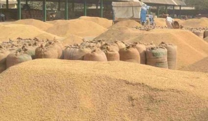 CG Dhan Kharidi Token Issue